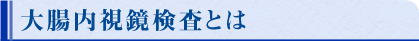 大腸内視鏡検査とは