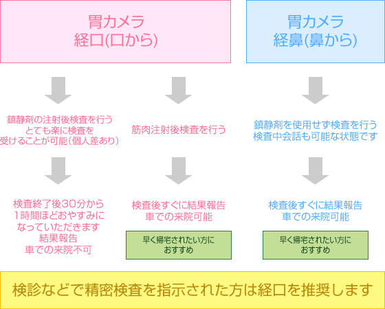 胃カメラ挿入の経路の図